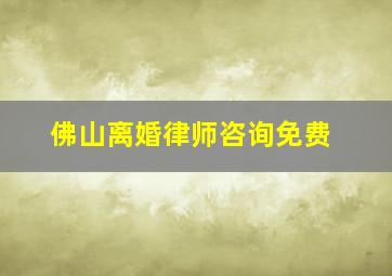 佛山离婚律师咨询免费