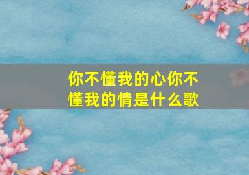 你不懂我的心你不懂我的情是什么歌