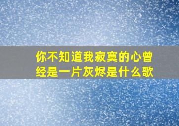 你不知道我寂寞的心曾经是一片灰烬是什么歌