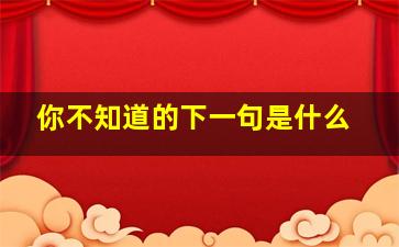 你不知道的下一句是什么