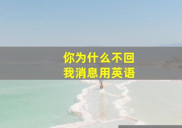 你为什么不回我消息用英语