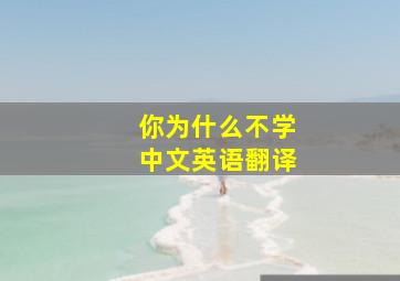 你为什么不学中文英语翻译