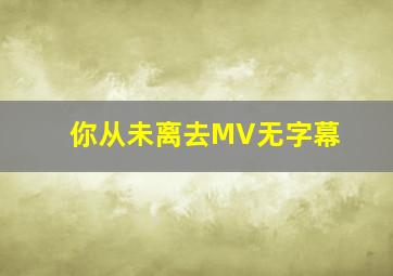 你从未离去MV无字幕