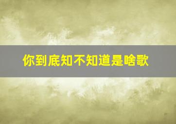 你到底知不知道是啥歌