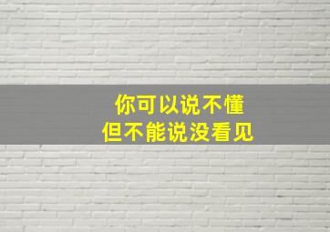 你可以说不懂但不能说没看见