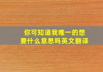 你可知道我唯一的想要什么意思吗英文翻译