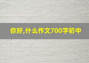 你好,什么作文700字初中