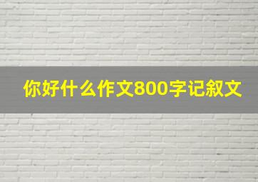 你好什么作文800字记叙文