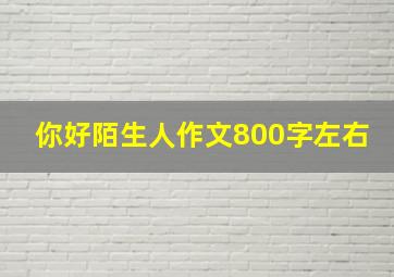 你好陌生人作文800字左右