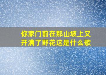 你家门前在那山坡上又开满了野花这是什么歌