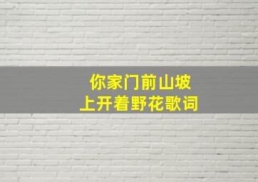 你家门前山坡上开着野花歌词