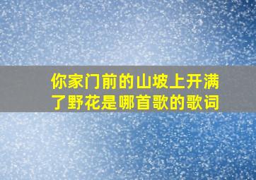 你家门前的山坡上开满了野花是哪首歌的歌词