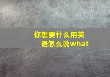 你想要什么用英语怎么说what