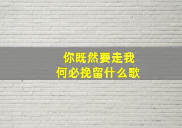 你既然要走我何必挽留什么歌