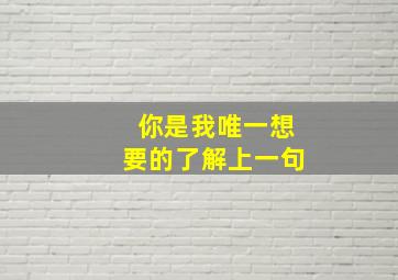 你是我唯一想要的了解上一句