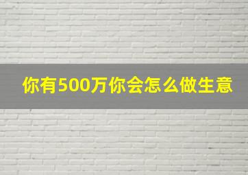 你有500万你会怎么做生意