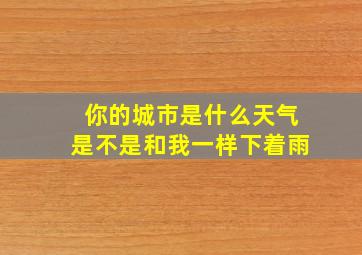 你的城市是什么天气是不是和我一样下着雨