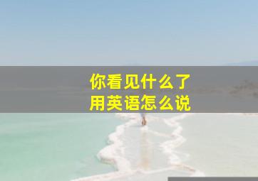 你看见什么了用英语怎么说