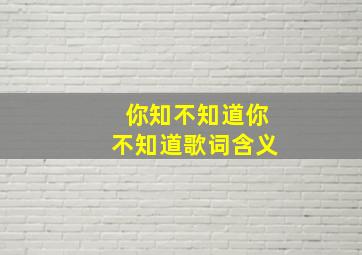 你知不知道你不知道歌词含义