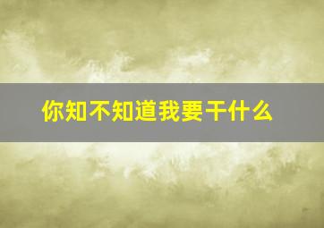 你知不知道我要干什么