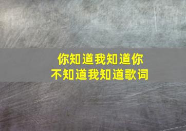 你知道我知道你不知道我知道歌词