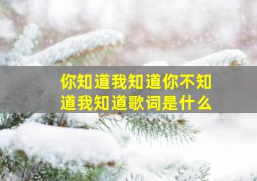 你知道我知道你不知道我知道歌词是什么