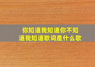 你知道我知道你不知道我知道歌词是什么歌