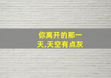 你离开的那一天,天空有点灰