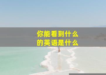 你能看到什么的英语是什么