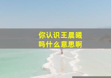 你认识王晨曦吗什么意思啊