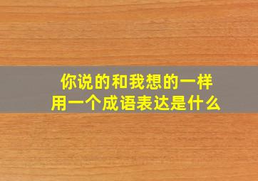 你说的和我想的一样用一个成语表达是什么