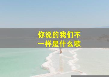 你说的我们不一样是什么歌