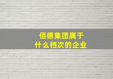 佰德集团属于什么档次的企业