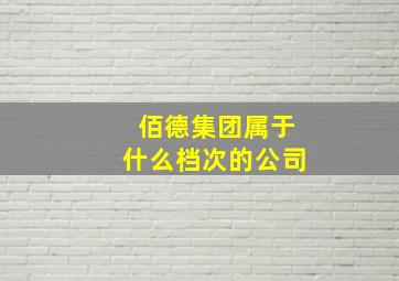 佰德集团属于什么档次的公司