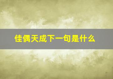 佳偶天成下一句是什么