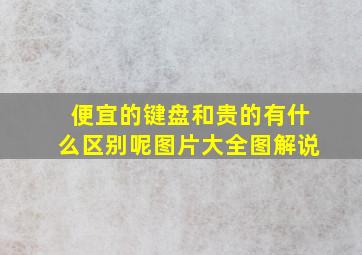 便宜的键盘和贵的有什么区别呢图片大全图解说