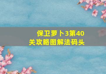 保卫萝卜3第40关攻略图解法码头