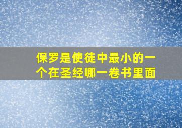 保罗是使徒中最小的一个在圣经哪一卷书里面