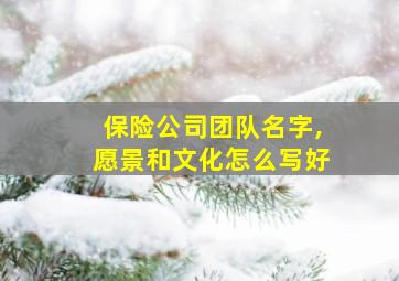 保险公司团队名字,愿景和文化怎么写好