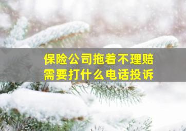 保险公司拖着不理赔需要打什么电话投诉