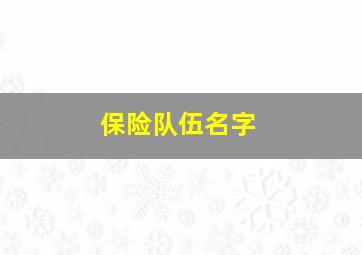 保险队伍名字