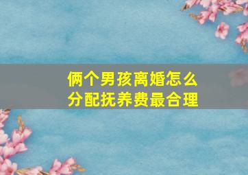 俩个男孩离婚怎么分配抚养费最合理