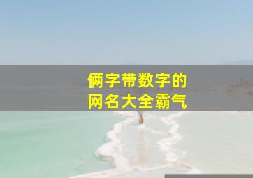 俩字带数字的网名大全霸气