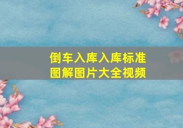 倒车入库入库标准图解图片大全视频