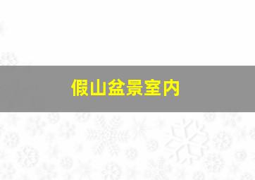 假山盆景室内