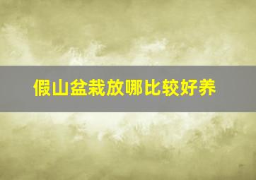 假山盆栽放哪比较好养