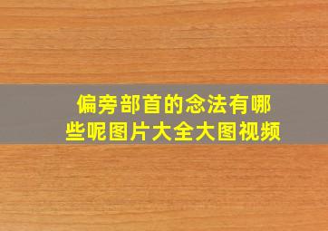 偏旁部首的念法有哪些呢图片大全大图视频