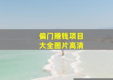 偏门赚钱项目大全图片高清