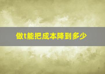 做t能把成本降到多少