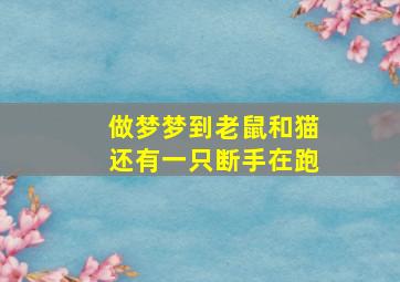 做梦梦到老鼠和猫还有一只断手在跑